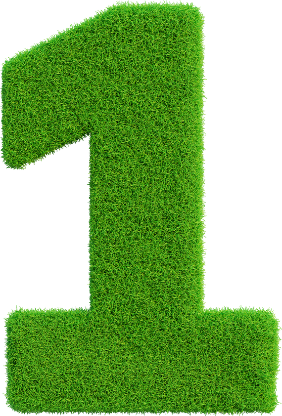number 1 on grass in 3d render realistic
