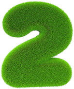 Number 2 grass
