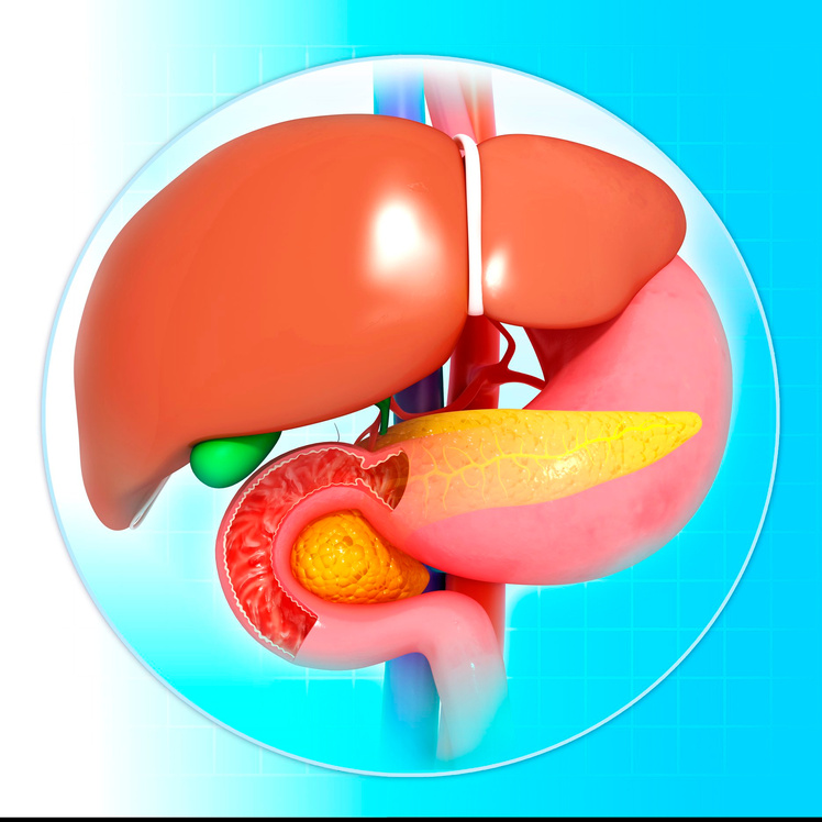"Healthy liver